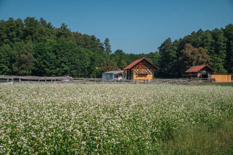 copekov-mlin, mala-polana