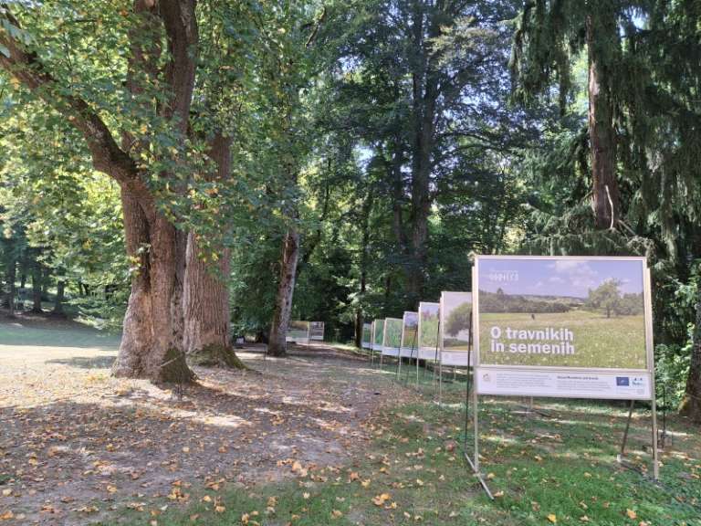 jz-kp-goričko, razstava, grad, o-travnikih-in-semenih