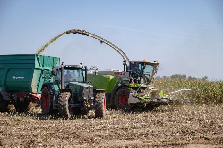žetev, koruza, žetev-koruze, kombajn, traktor, njiva