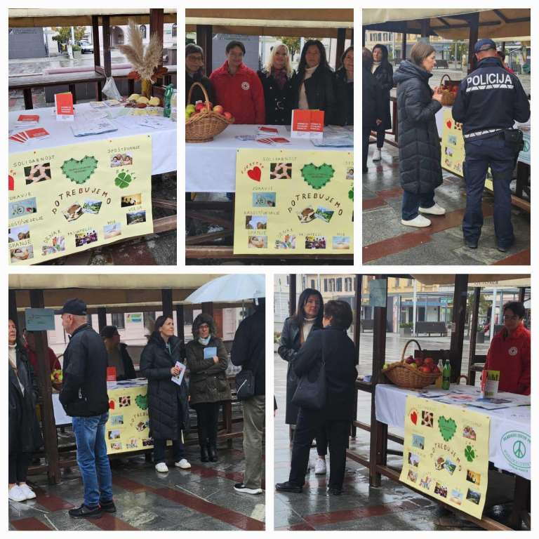 CSD Pomurje, stojnica, ljutomer