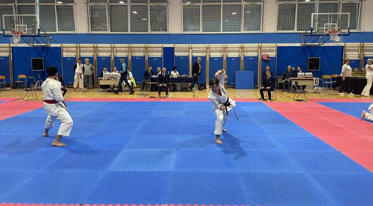 karate, kuzma, domžale