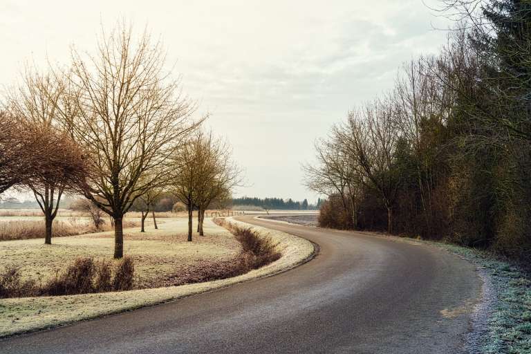 path-8330103_1280.jpg
