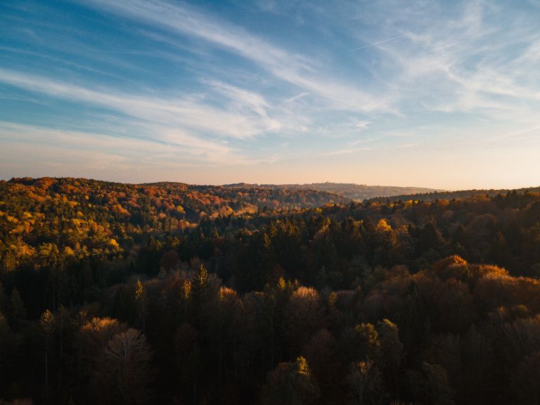 simbolična, jesen, gozd, goričko, drevesa, narava, dron, krošnja, krošnje
