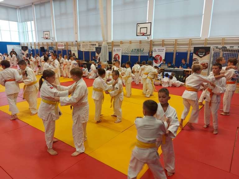 judo, miklavzev-turnir