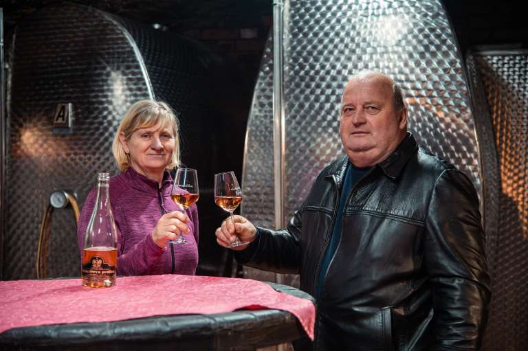 vinogradništvo-kolarič, penina-kolarič, vina
