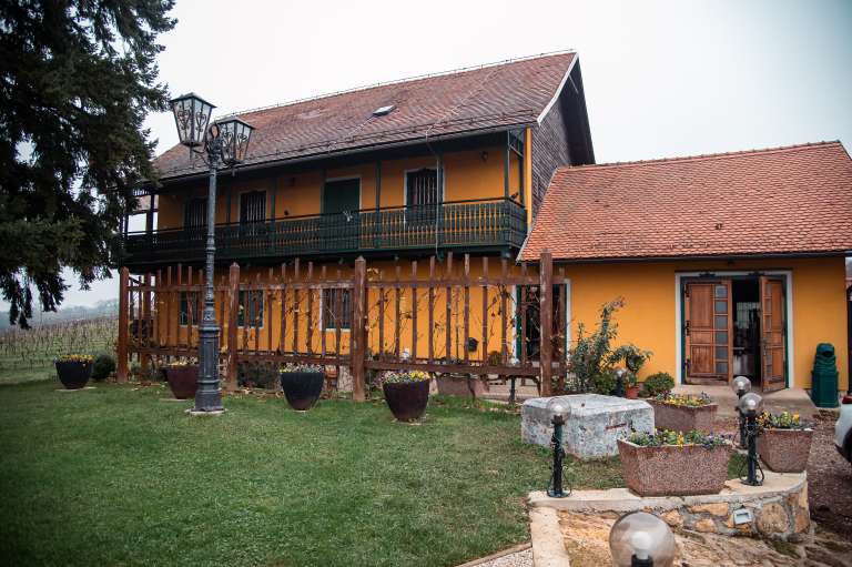 vinogradništvo-kolarič, penina-kolarič, vina