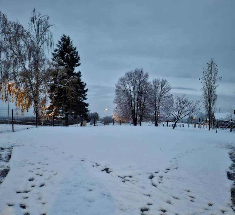 sneg, goričko, november