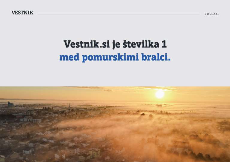 statistika, statistični, vestnik.si, splet, analiza