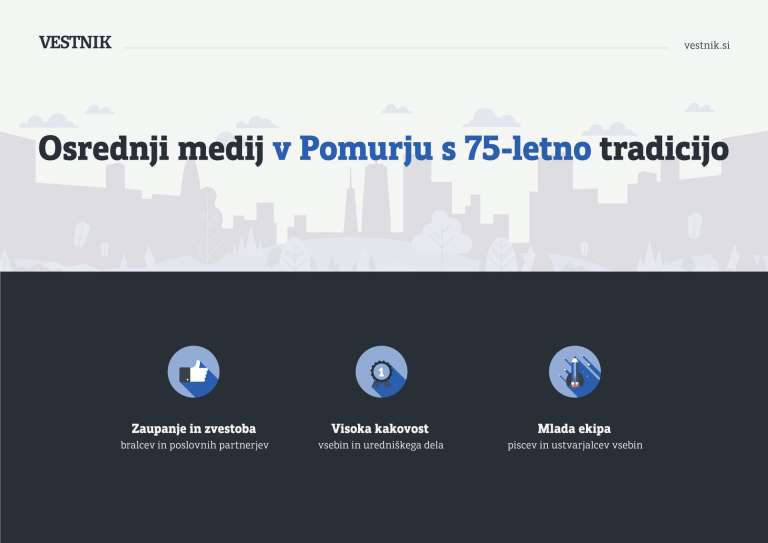 statistika, statistični, vestnik.si, splet, analiza