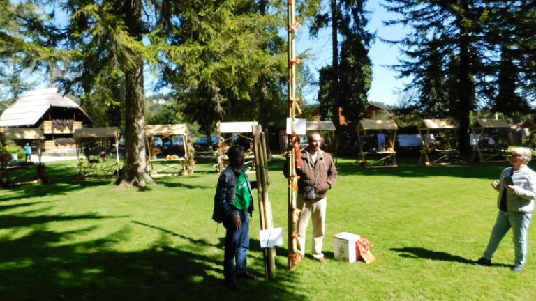 1569927883_kg_buča_rekorderka.jpg