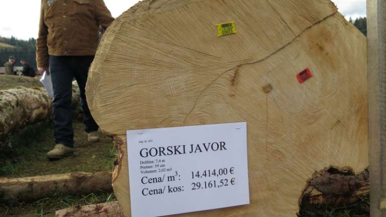 1583001339_drazba_javor.jpeg