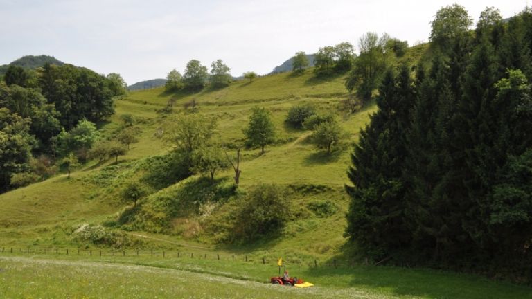 1482666941_mv-razpis_kmetijstvo.jpg