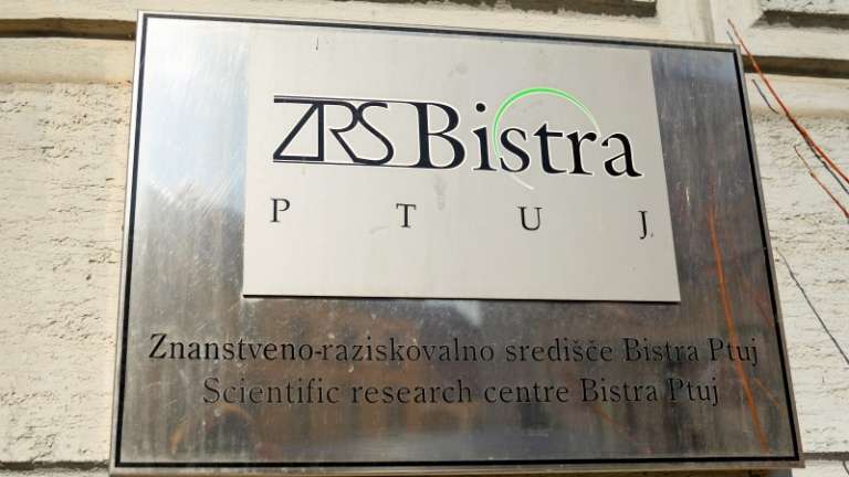 1644835854_cg_bistra.jpg