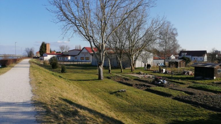 1586438980_dz_vrticki_agis.jpg