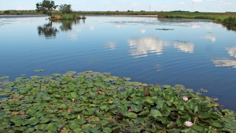 1492689755_cg_sestrze_jezero_2.jpg