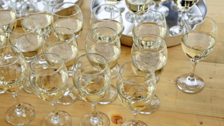 1471253113_cg_vino_kozarec.jpg