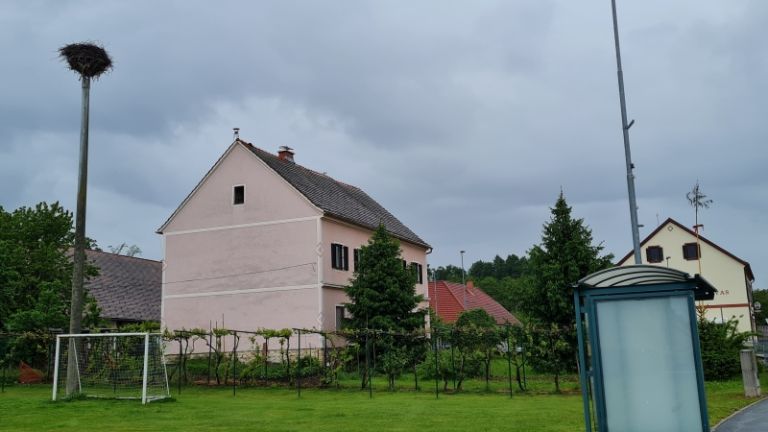 1621867586_sd-storklje.jpg