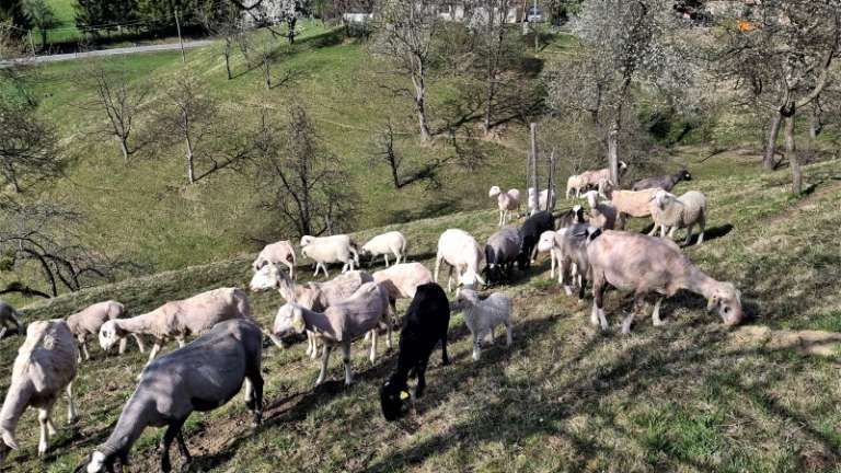 1672412685_ek_podravje.jpg