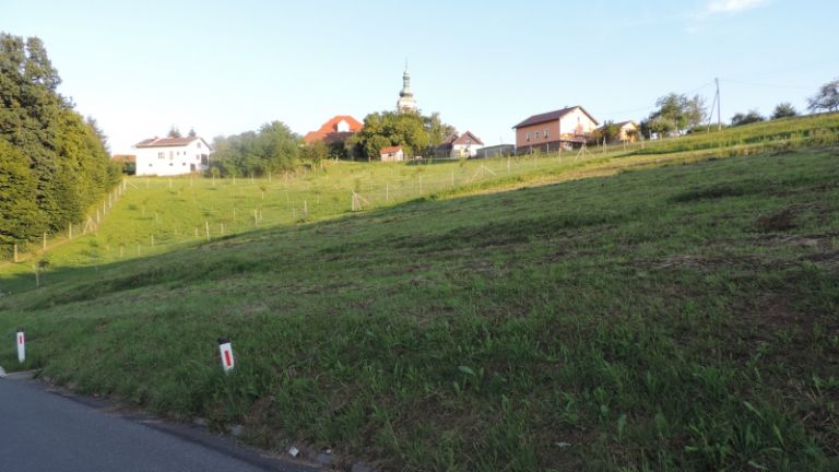 1532443623_ml-plaz_polensak.jpg