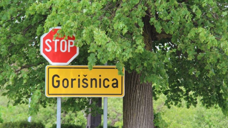 1625474720_gorisnica.jpg