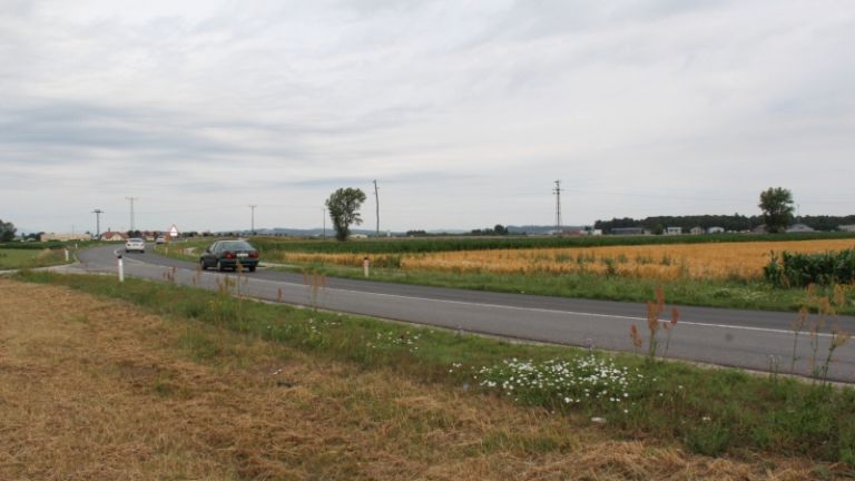 1498499646_mz_cesta.jpg