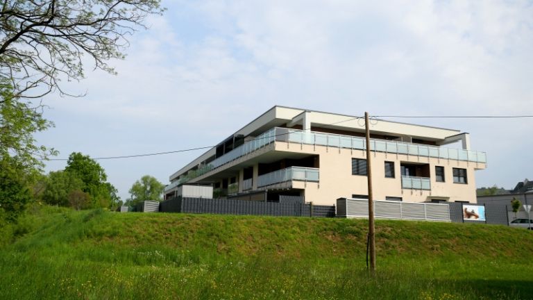 1652093288_cg_lidl_marof.jpg