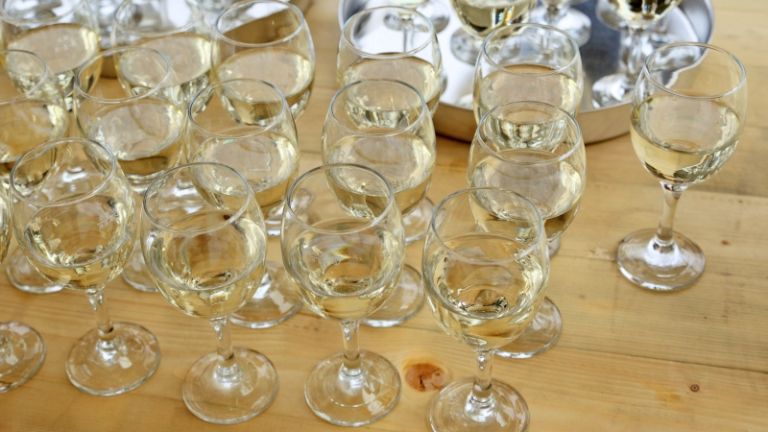 1551357440_cg_vino_kurentovanje.jpg