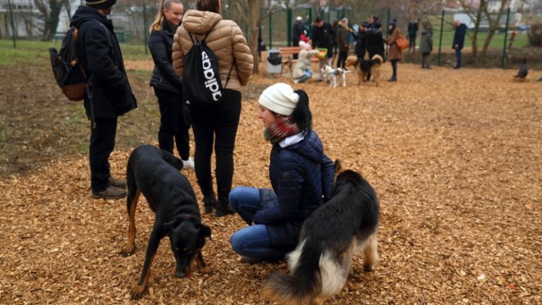 1621865962_cg_pasji_park_1.jpg
