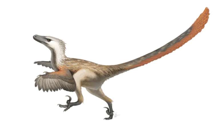 1645109022_sd-dinozavri01.png