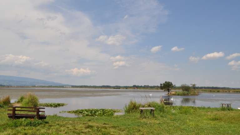 1686820690_mv-zadrzevalnik_medvedce.jpg