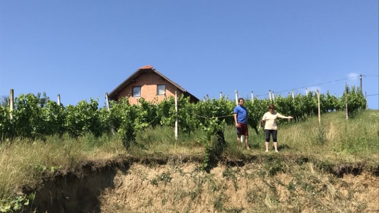1561116080_mh-plaz_vičanci.jpeg