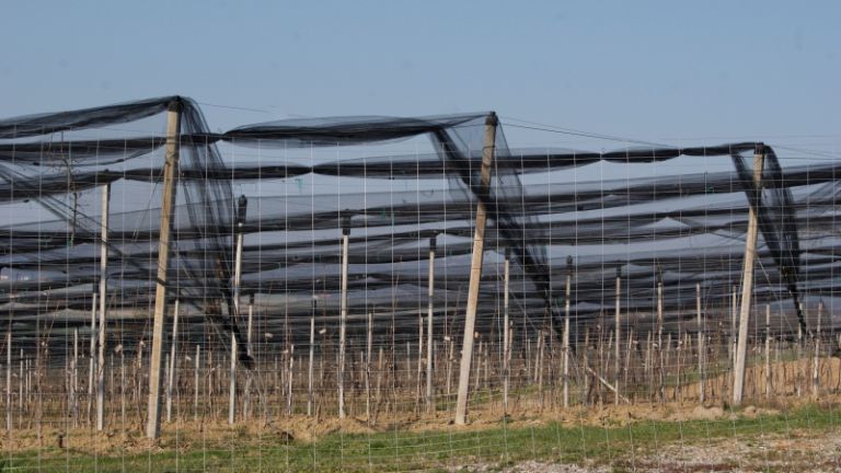 1643882181_sd-energenti_za_kmete.jpg
