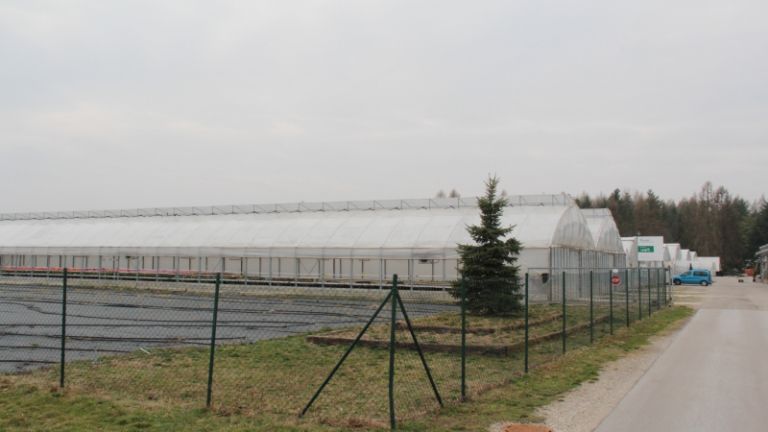 1557399035_mz_rastlinjaki.jpg