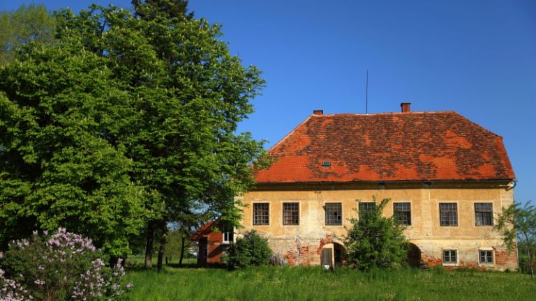 1575913242_cg_ristovec.jpg