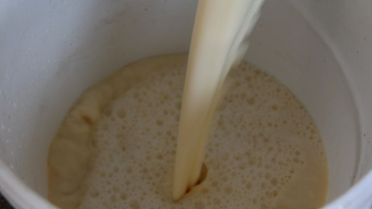 1508177580_mz_prireja_mleka.jpg