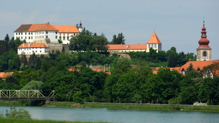 1541518682_cg_drevesa.jpg