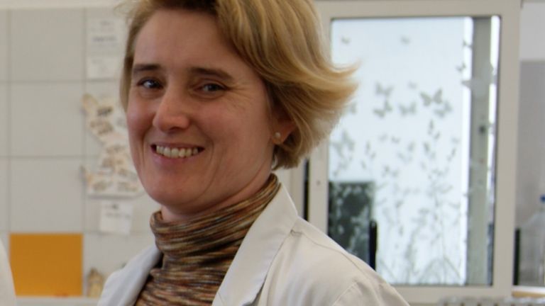1579537061_sd-laboratorij01.jpg
