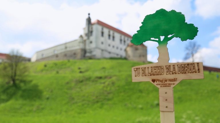 1555753356_cg_ptuj_je_nas_table_drevesa_1.jpg