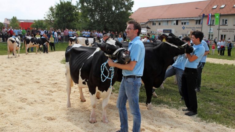 1480851233_cg_kgz_ptuj_2.jpg