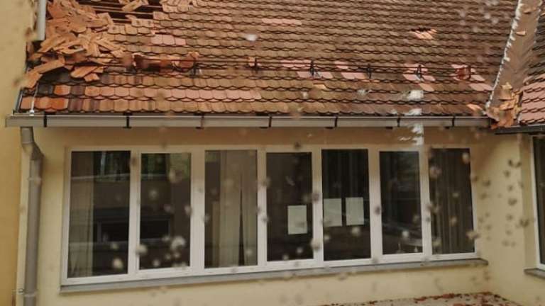 1680523823_neurje1_radio_ptuj.jpg