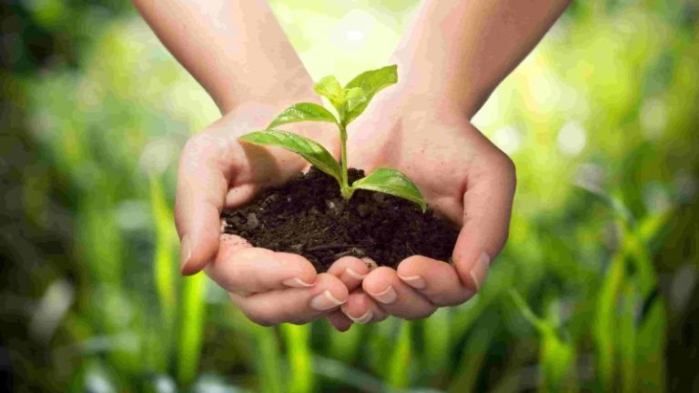 1521803534_agriculture.jpg