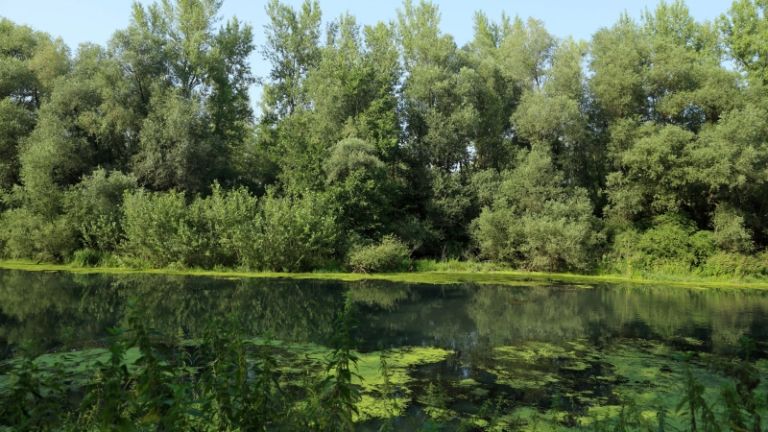 1521411523_cg_krajinski_park.jpg
