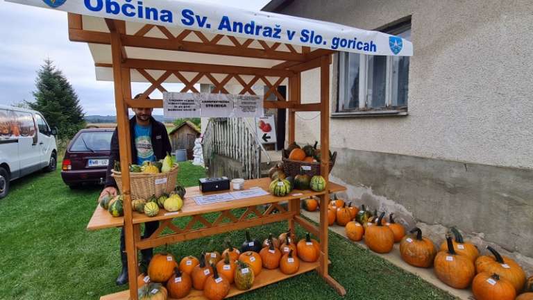 1696184960_sd-stojnica_za_okrasne_buče.jpg