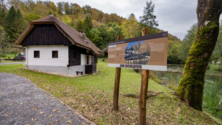 1731588950_zabja_domacija_4_10_2024_foto_nik_jarh_16.jpg