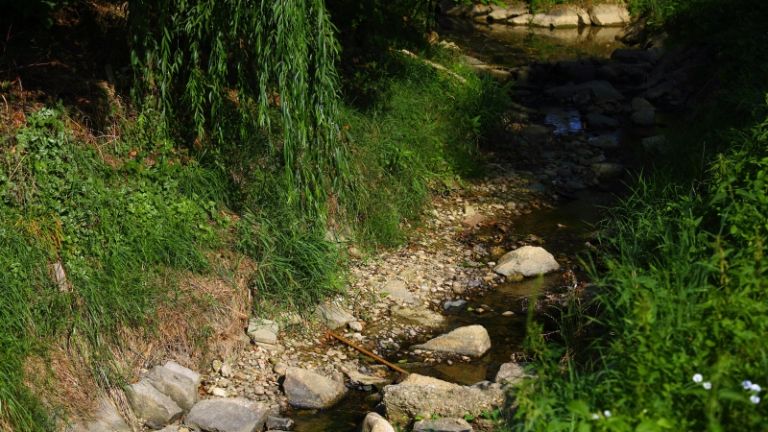 1659029430_cg_susa_prazna_struga.jpg