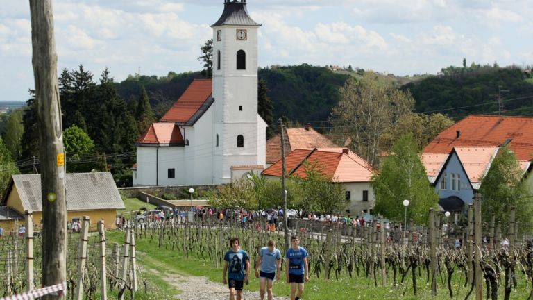 1471080303_cg_zavrc.jpg