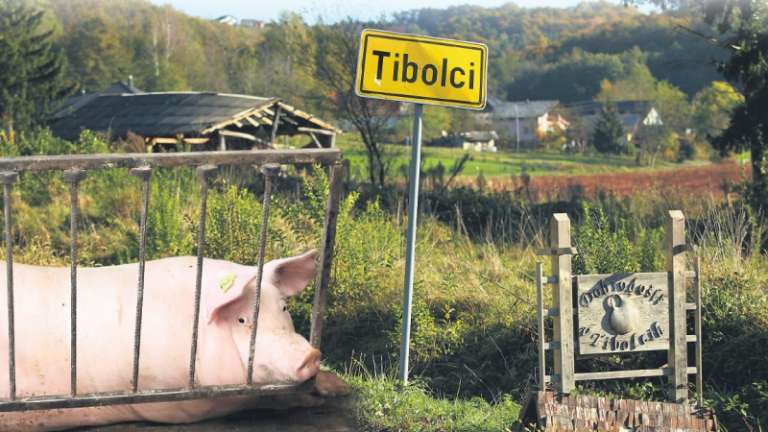 1699532172_tibolci_pujsi.jpg