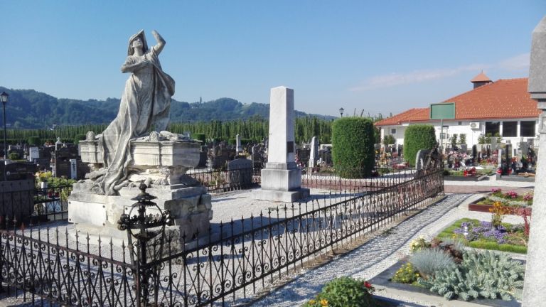 1470926952_em-raztros_pepela_videm.jpg