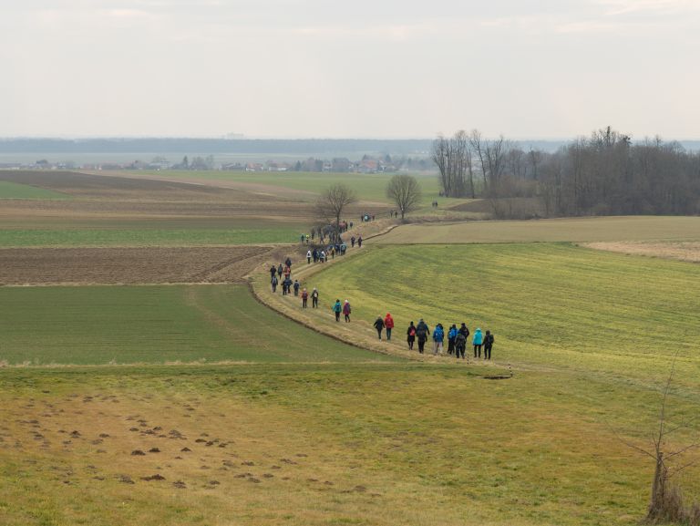 20.-prešernov-pohod-v-tešanovcih, tešanovci, pohod