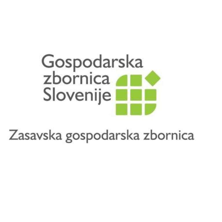 GZS Zasavska logo.jpg